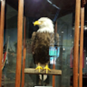 Meet your Posher, Mitchel